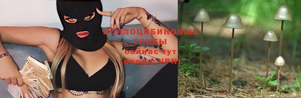эйфоретик Медвежьегорск