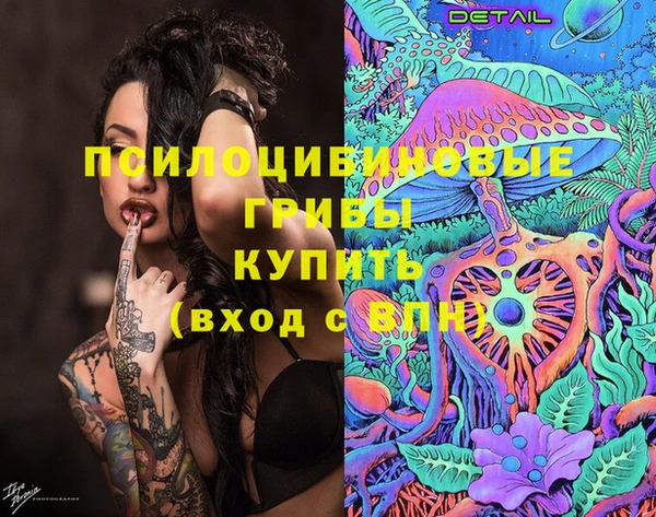 эйфоретик Медвежьегорск