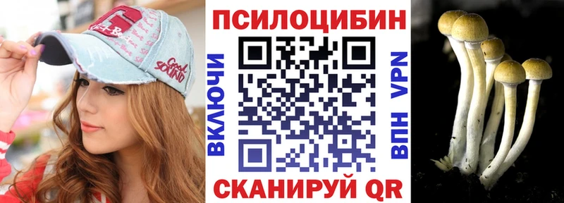 наркошоп  Староминская  Галлюциногенные грибы Cubensis 